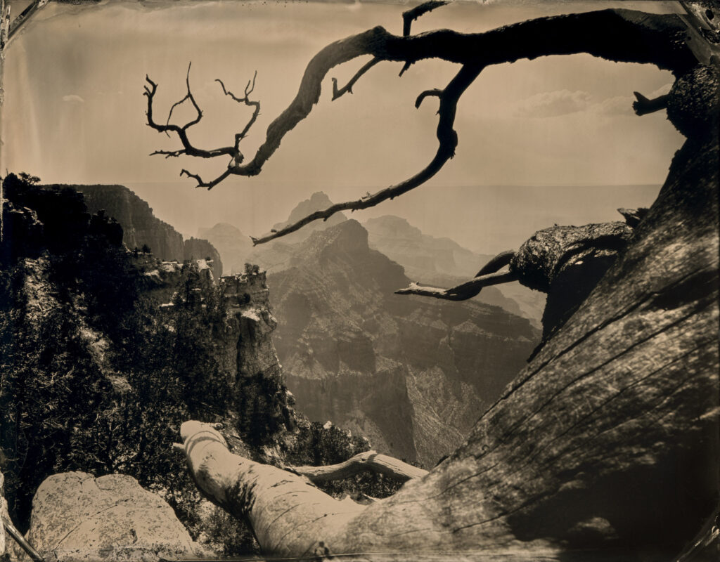 Tintype photograph of the Grand Canyon looking south from the North Rim, 2024